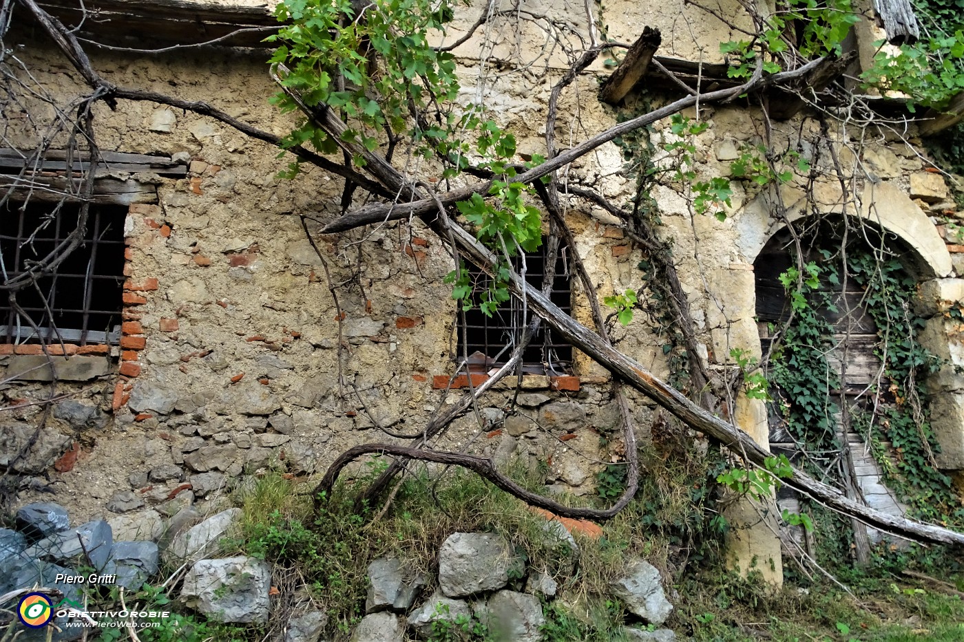86 Le piante rampicanti libere di avvolgere l'antica casa.JPG